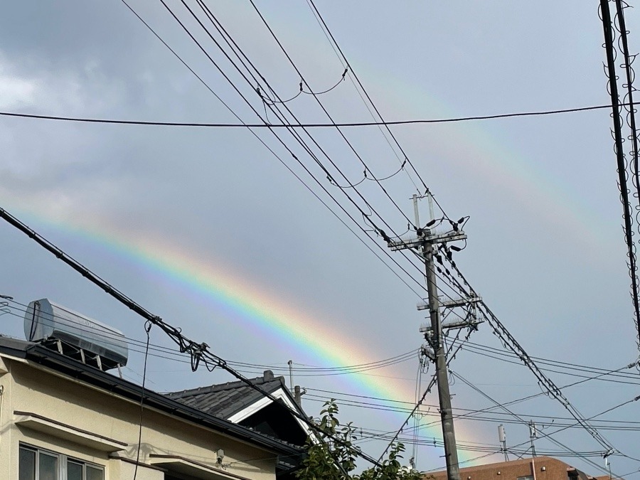 虹！！！